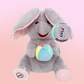 🐘 Jouet Doudou Éléphant Cache-Cache
