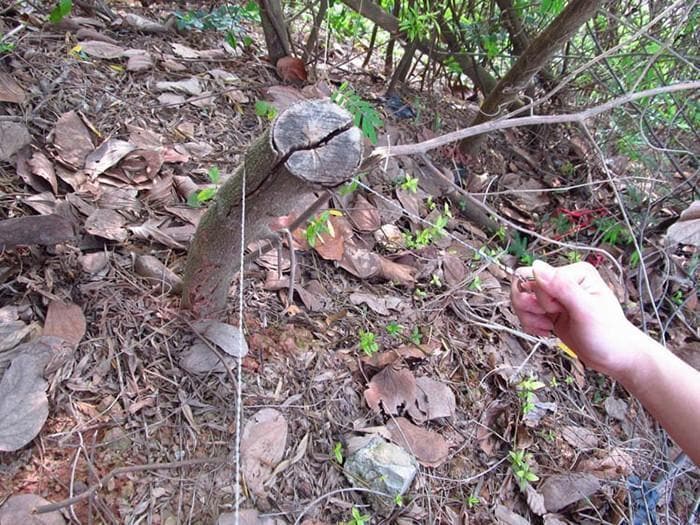 📢Achetez-en 1 offrez-en 1🔪Scie à fil en acier inoxydable pour survie – Coupe tout, ultra-portable, idéale pour randonnée & camping🌲
