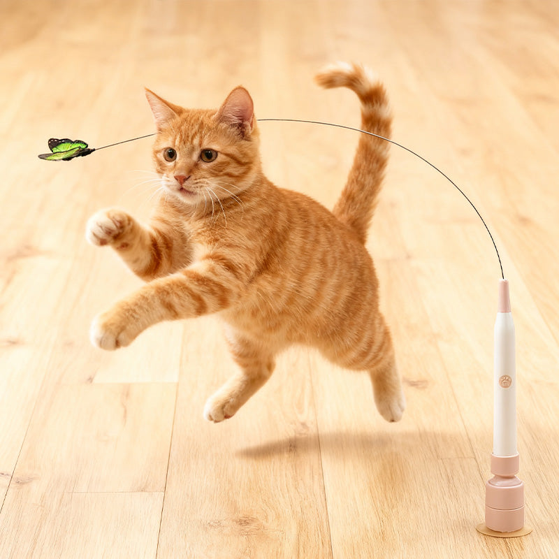 🐱 50% DE RÉDUCTION! 🎣 Jouet Interactif pour Chat avec Ventouse – Rotation 360° & double mode automatique – Stimule l'instinct de chasse et divertit votre félin ✨