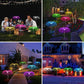 Lampe de Jardin Solaire – Lampe Méduse à Couleurs Changeantes