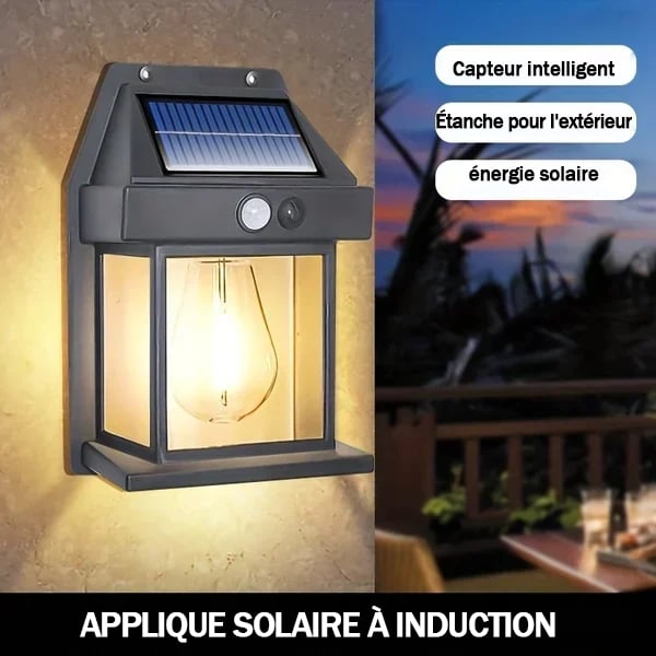 🎉VENTE LIMITÉE 50 % DE RÉDUCTION🎉Applique murale solaire à détecteur de mouvement en tungstène