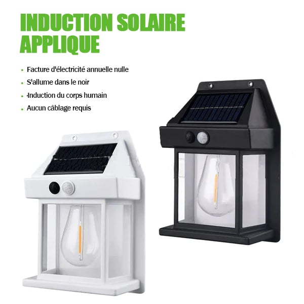 🎉VENTE LIMITÉE 50 % DE RÉDUCTION🎉Applique murale solaire à détecteur de mouvement en tungstène