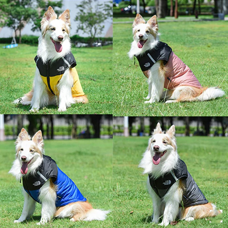 Manteau d'hiver imperméable et coupe-vent pour chien