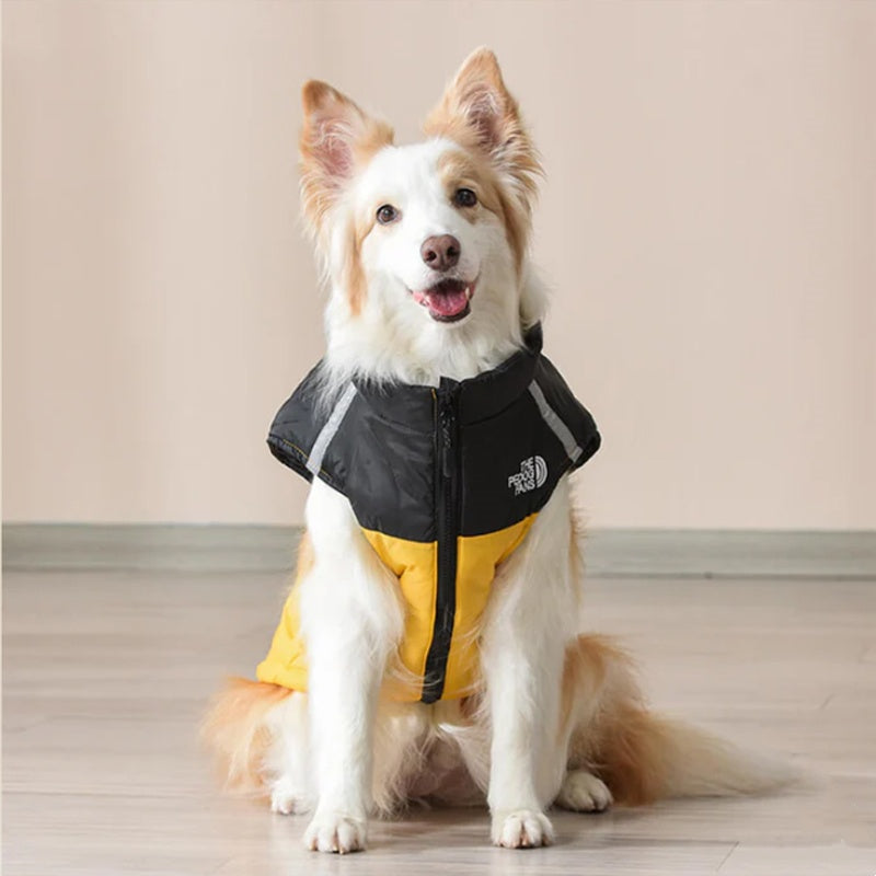 Manteau d'hiver imperméable et coupe-vent pour chien