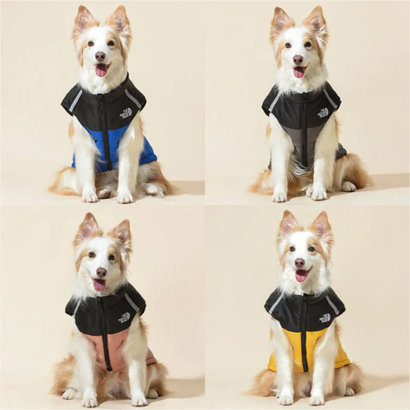 Manteau d'hiver imperméable et coupe-vent pour chien