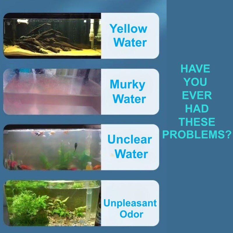 Feuilles clarifiantes pour eau d'aquarium