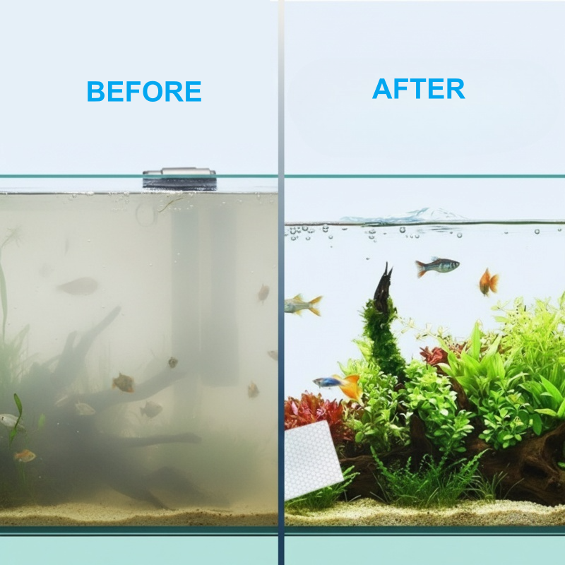 Feuilles clarifiantes pour eau d'aquarium