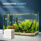 Feuilles clarifiantes pour eau d'aquarium
