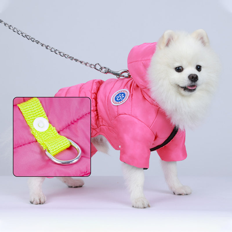 🐶Combinaison hiver pour chien🎄Polaire douce, coupe-vent & fermeture éclair🧥