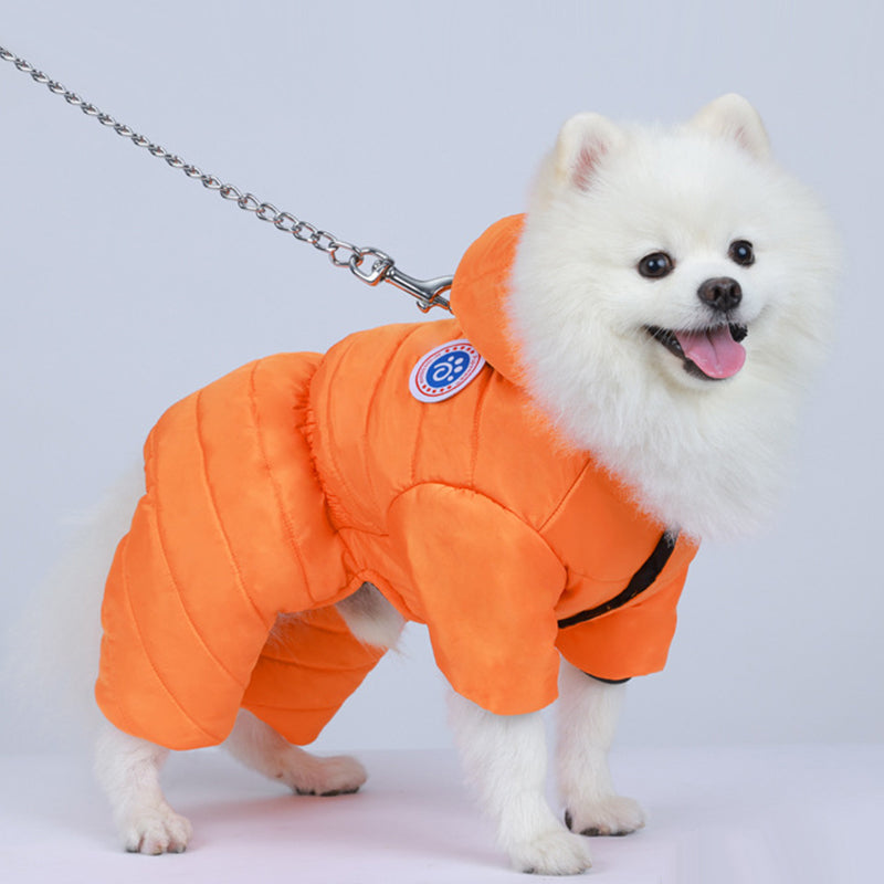 🐶Combinaison hiver pour chien🎄Polaire douce, coupe-vent & fermeture éclair🧥