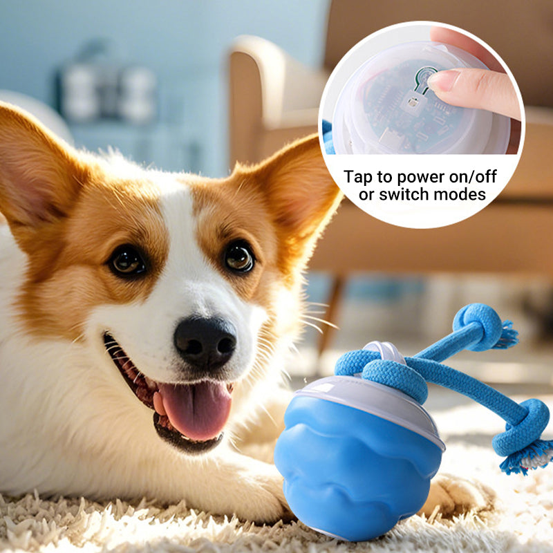 Balle interactive électronique apaisante pour animaux de compagni