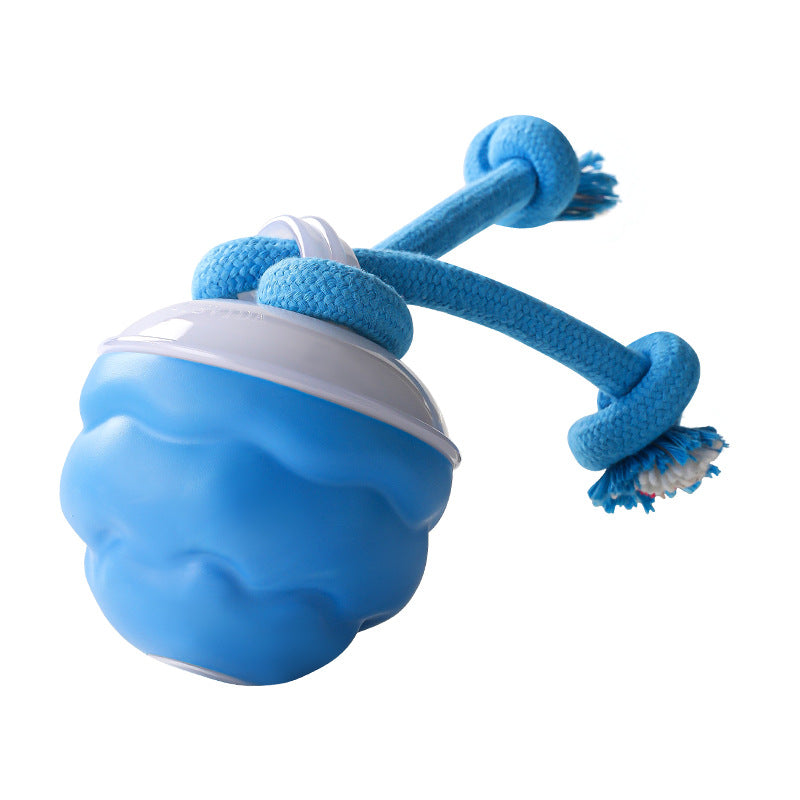 Balle interactive électronique apaisante pour animaux de compagni