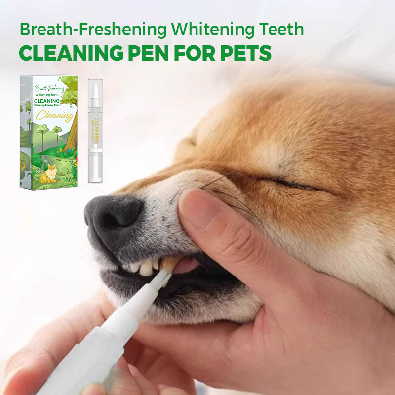 Stylo Nettoyant Dentaire Blanchissant et Rafraîchissant pour Animaux