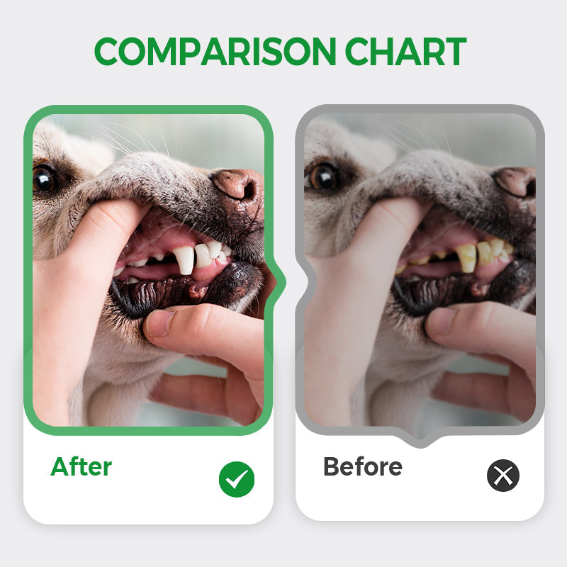 Stylo Nettoyant Dentaire Blanchissant et Rafraîchissant pour Animaux