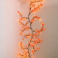 Lumières d’Ambiance en Vigne Florale