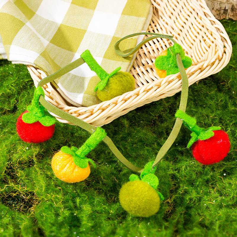 🐱💥Ficelle de jeu en forme de fruit pour fatiguer votre chat naturellement
