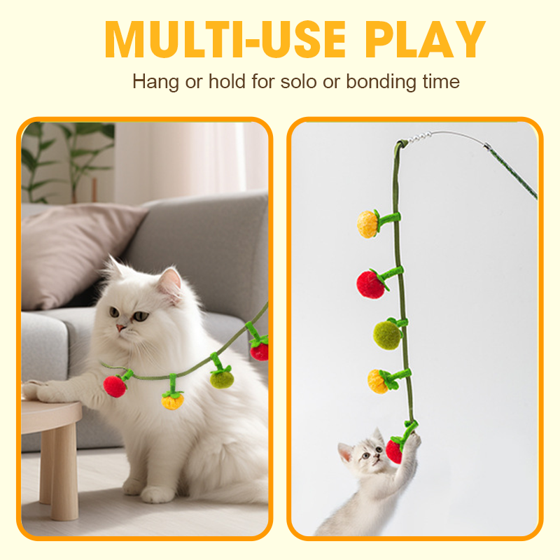 🐱💥Ficelle de jeu en forme de fruit pour fatiguer votre chat naturellement