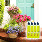 Nutriments Liquides pour Plantes d'Extérieur et d'Intérieur - 120ml, Faible Entretien et Riche en Nutriments