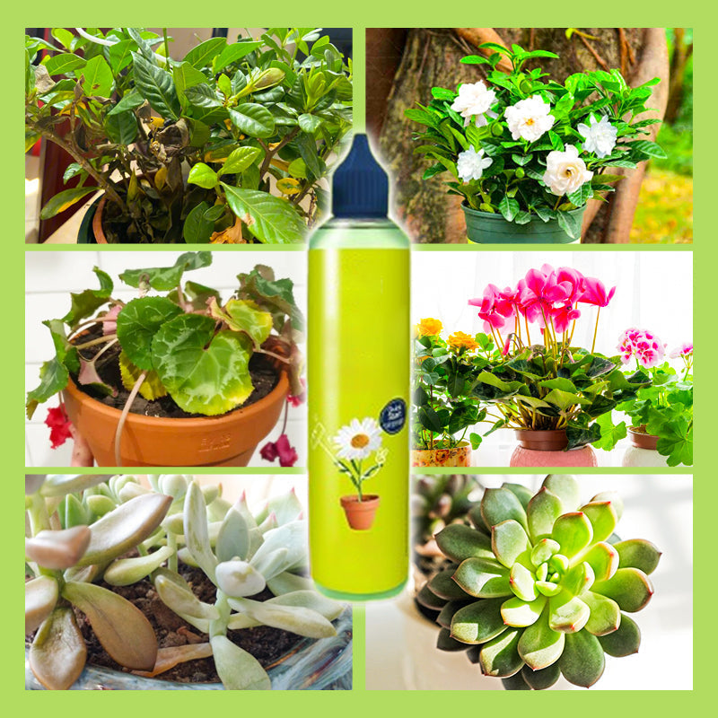 Nutriments Liquides pour Plantes d'Extérieur et d'Intérieur - 120ml, Faible Entretien et Riche en Nutriments