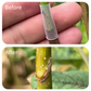 📢📢50% KORTING!🌱✨50 stuks siliconen entingshulzen voor fruitbomen – Hoge slagingskans, biologisch afbreekbaar & zonder gereedschap!