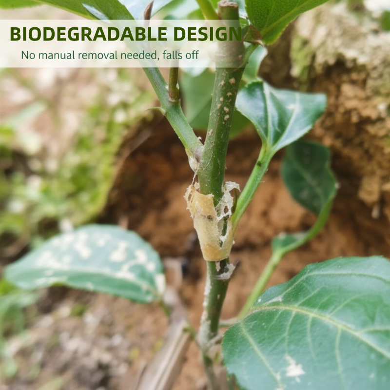 📢📢50% KORTING!🌱✨50 stuks siliconen entingshulzen voor fruitbomen – Hoge slagingskans, biologisch afbreekbaar & zonder gereedschap!