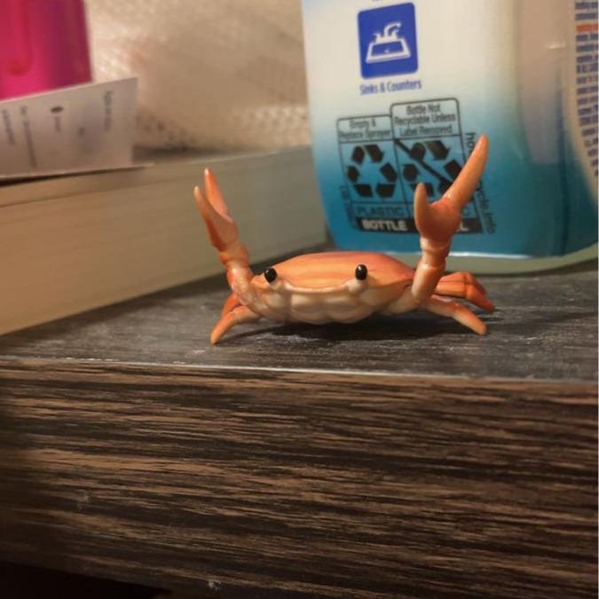 Porte-stylos en forme de crabe mignon