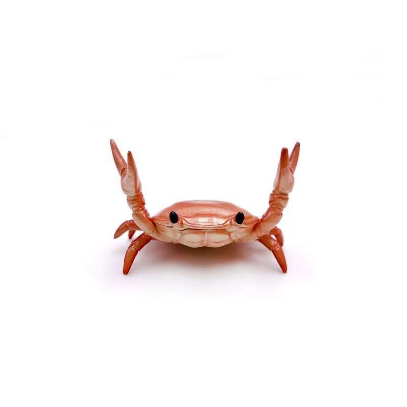 Porte-stylos en forme de crabe mignon
