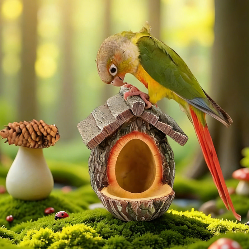 🌿 Nouveau Design 2026 | Mangeoire à Oiseaux Souche Réaliste 🐦