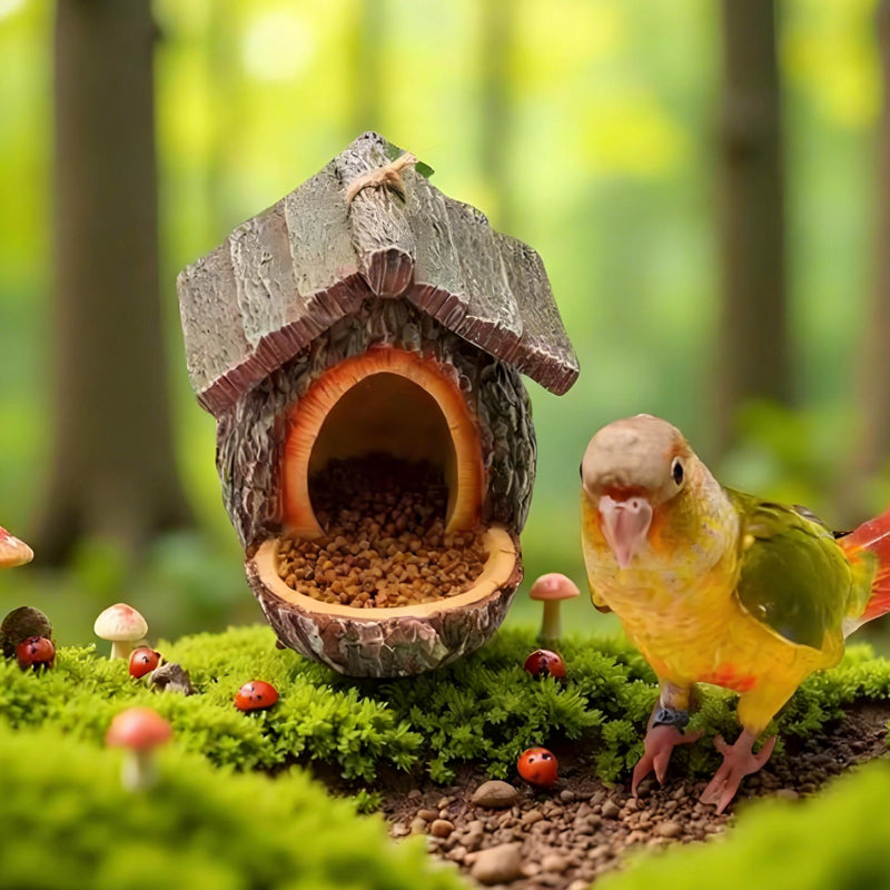 🌿 Nouveau Design 2026 | Mangeoire à Oiseaux Souche Réaliste 🐦