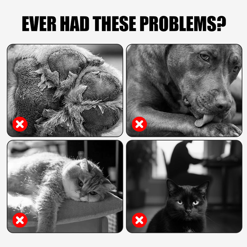 🐾 Apaisement & Réparation Rapides | Baume pour Pattes Chiens/Chats | Cicatrise les Coussinets❤️