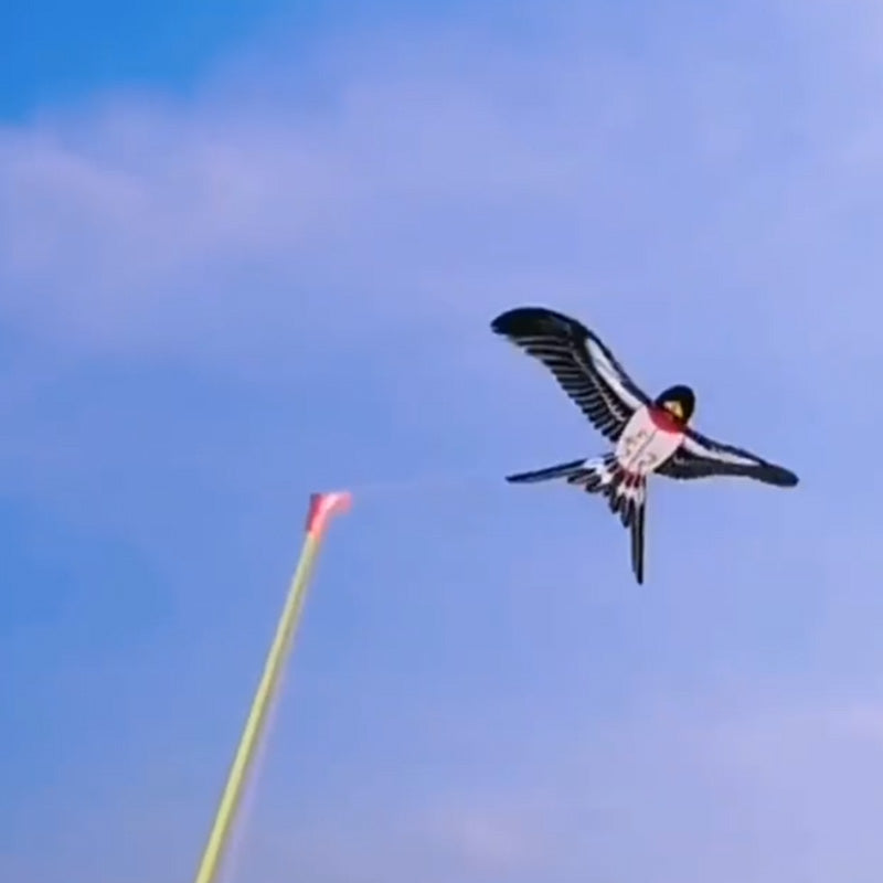 Jouets créatifs pour enfants : canne à pêche et cerf-volant