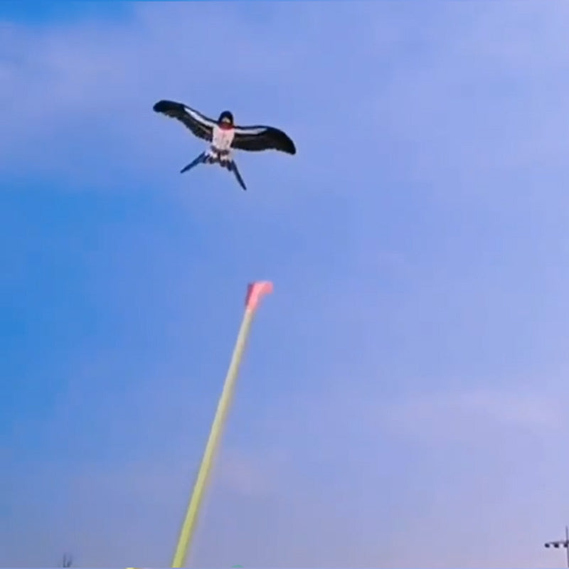 Jouets créatifs pour enfants : canne à pêche et cerf-volant