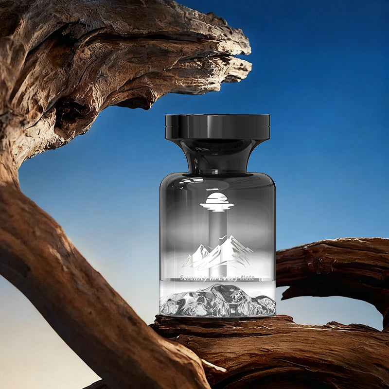 🔥Désodorisant de voiture longue durée de 110 ml
