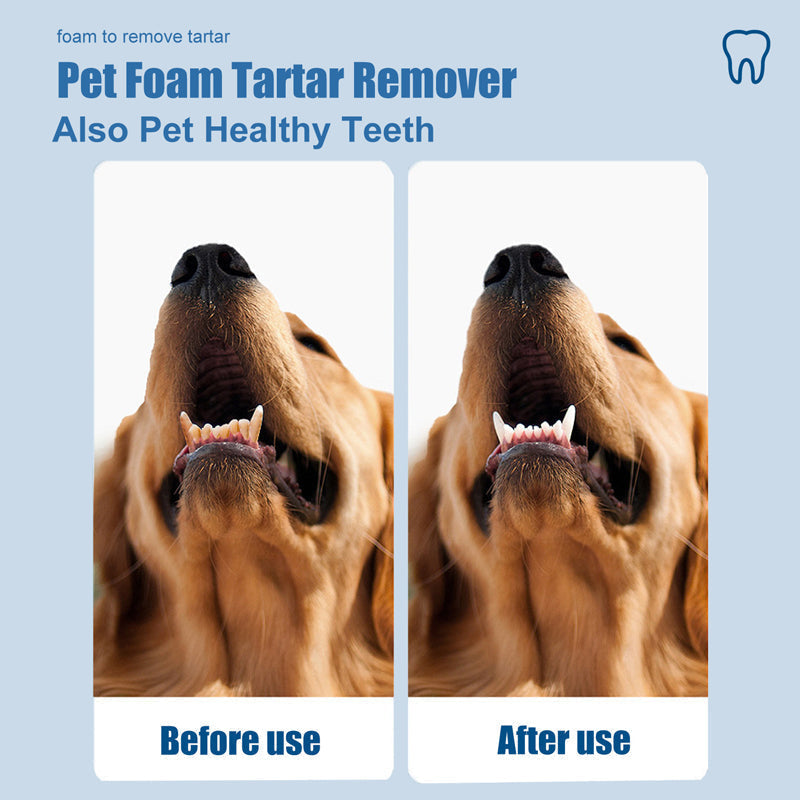 🐾OFFRE : 2 ACHETÉS, 1 OFFERT🦷Mousse Dentaire Détartrante pour Animaux – Formule Végétale, Haleine Fraîche 12h, 60 ml, Bouteille 2-3