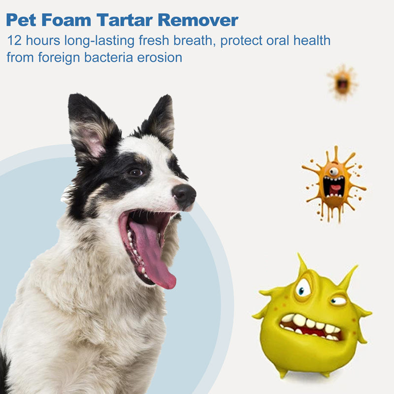 🐾OFFRE : 2 ACHETÉS, 1 OFFERT🦷Mousse Dentaire Détartrante pour Animaux – Formule Végétale, Haleine Fraîche 12h, 60 ml, Bouteille 2-3