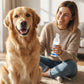 🐾🦷 OFFRE : 2 ACHETÉS, 1 OFFERT ! Mousse Dentaire Détartrante pour Animaux – Formule Végétale, Haleine Fraîche 12h, 60 ml, Bouteille 2-3