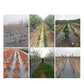 🌱 PROMO FLASH : -50% ! ⛏️ Toile de Paillage Anti-Mauvaises Herbes – PP – Bloque la Lumière & Respirante for Jardin & Potager 🧑‍🌾