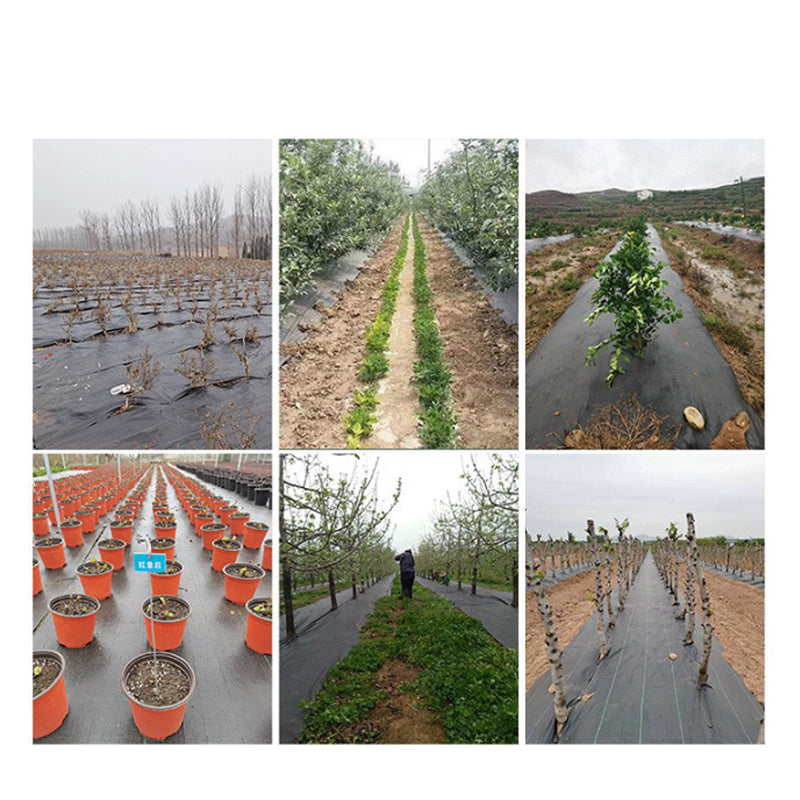 🌱 PROMO FLASH : -50% ! ⛏️ Toile de Paillage Anti-Mauvaises Herbes – PP – Bloque la Lumière & Respirante for Jardin & Potager 🧑‍🌾