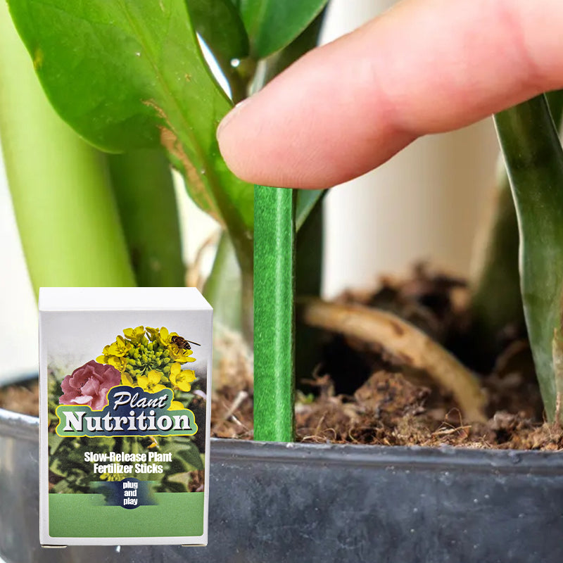 Bâtonnets d'engrais pour plantes à libération lente