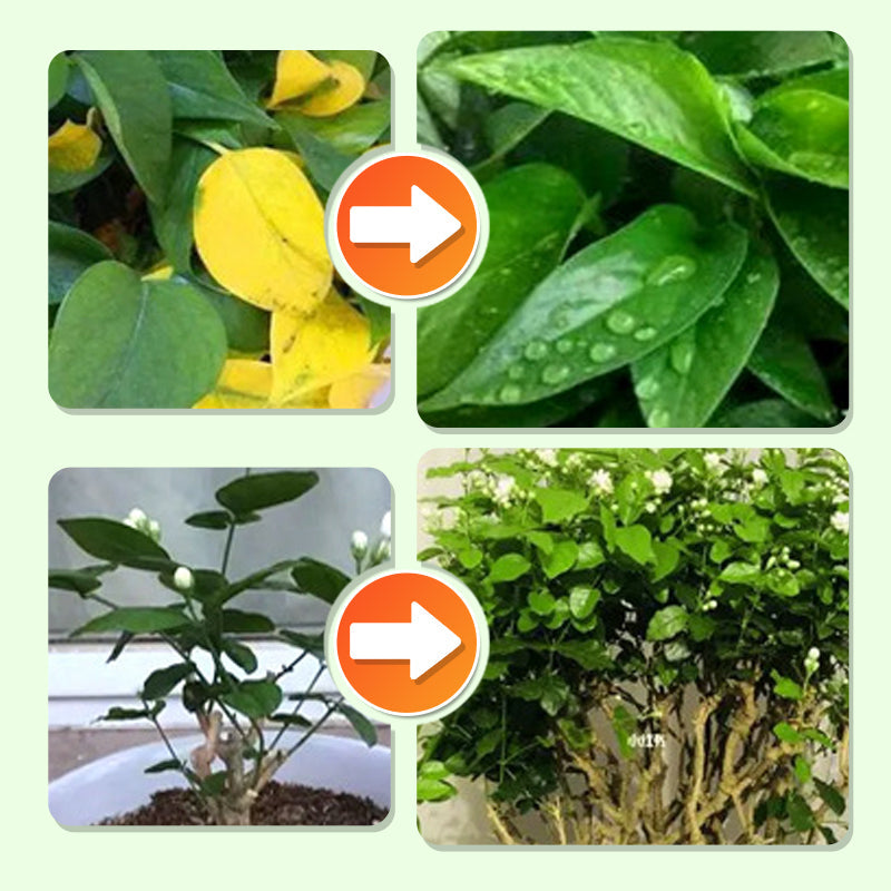 Bâtonnets d'engrais pour plantes à libération lente