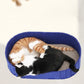 Lit pour Chat Multifonction en Feutre avec Tapis Griffoir