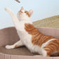 Lit pour Chat Multifonction en Feutre avec Tapis Griffoir