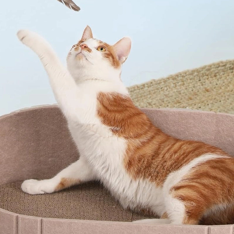 Lit pour Chat Multifonction en Feutre avec Tapis Griffoir