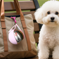 🐾💧 -50% ! 🎒 Bouteille d'Eau Pliable pour Animaux – Acier Inoxydable 304 & Silicone, 287 ml & Anti-Fuite.