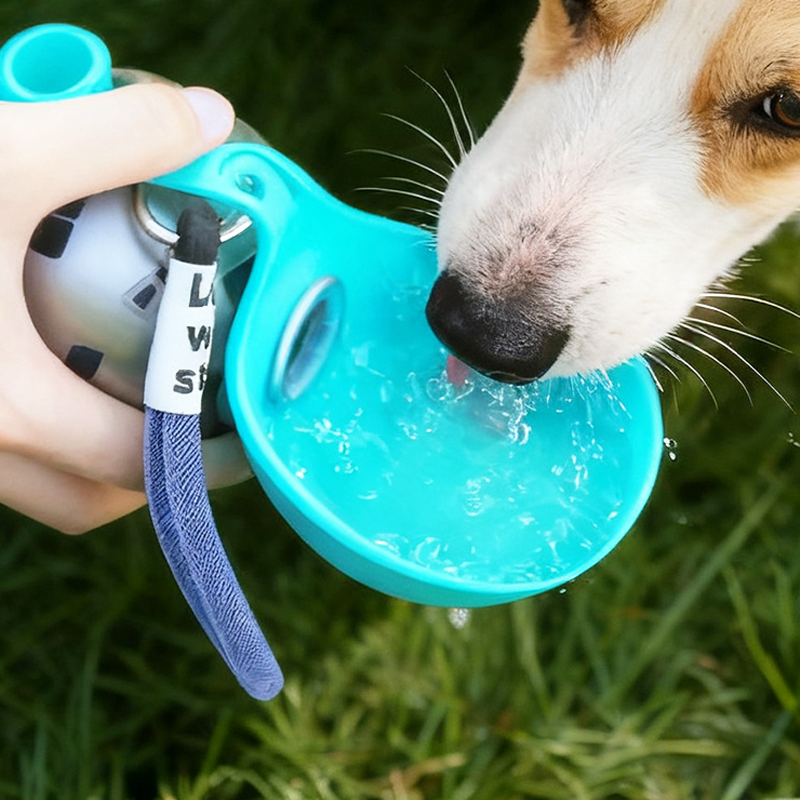 🐾💧 -50% ! 🎒 Bouteille d'Eau Pliable pour Animaux – Acier Inoxydable 304 & Silicone, 287 ml & Anti-Fuite.