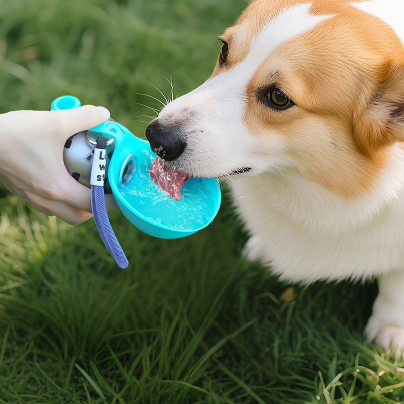 🐾💧 -50% ! 🎒 Bouteille d'Eau Pliable pour Animaux – Acier Inoxydable 304 & Silicone, 287 ml & Anti-Fuite.