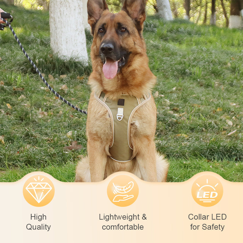 📢📢50 % DE RÉDUCTION !! ⏰Harnais anti-traction pour chien avec laisse et collier à LED