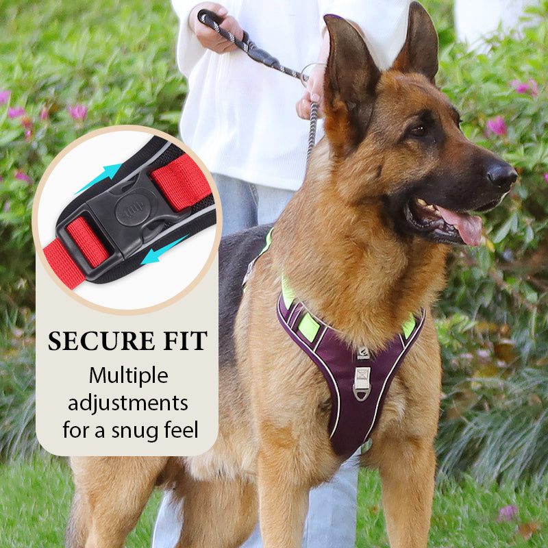 📢📢50 % DE RÉDUCTION !! ⏰Harnais anti-traction pour chien avec laisse et collier à LED