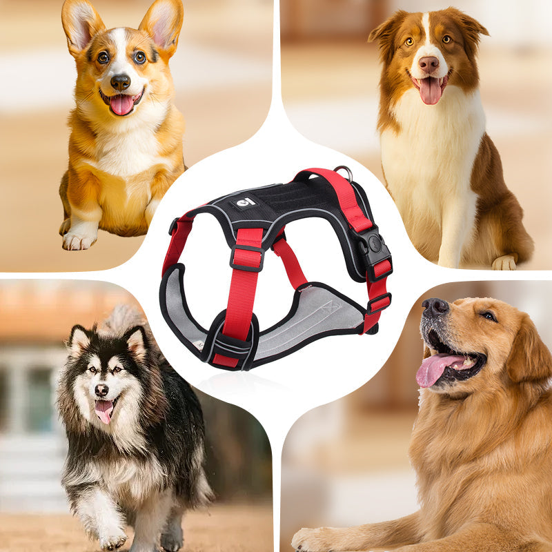 📢📢50 % DE RÉDUCTION !! ⏰Harnais anti-traction pour chien avec laisse et collier à LED