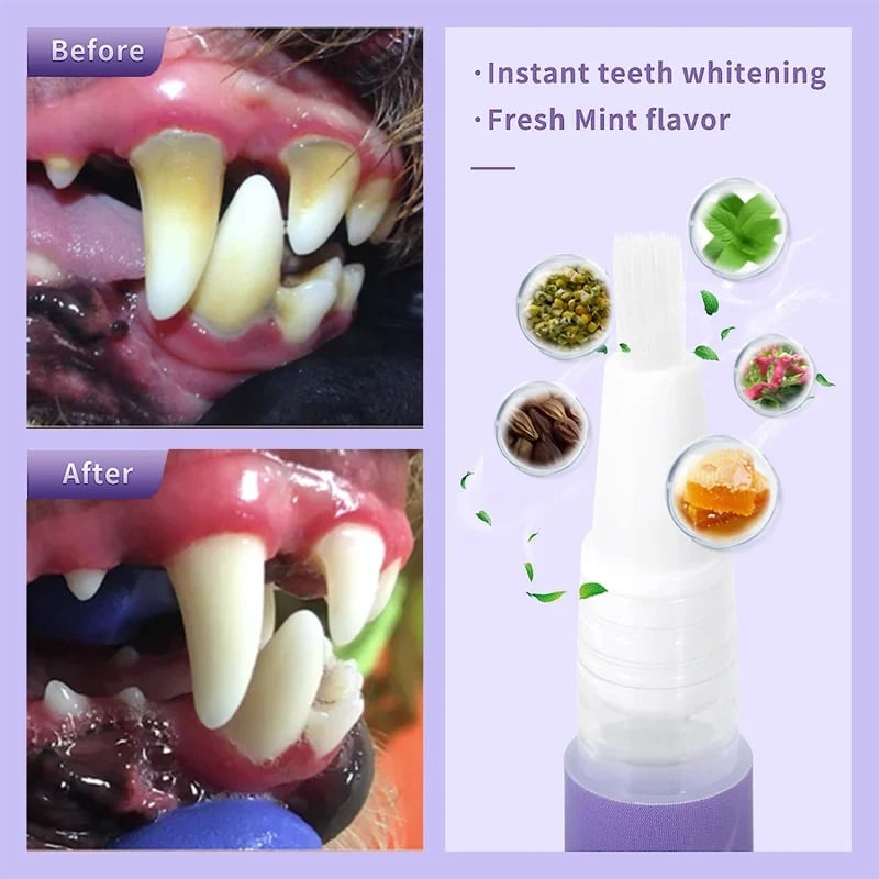 Gel Réparateur Oral pour Animaux de Compagnie